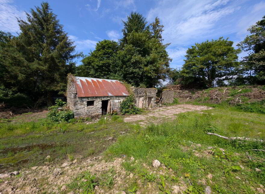 Derelict Cottage, Carroweena, Killasser