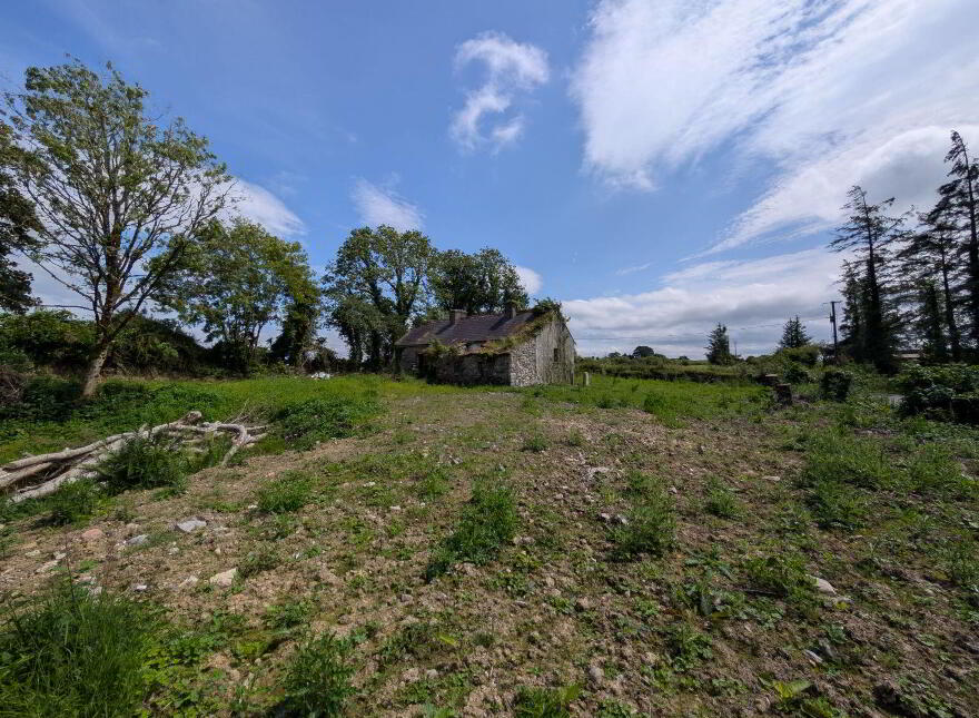 Derelict Cottage, Carroweena, Killasser