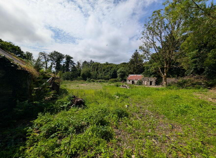 Derelict Cottage, Carroweena, Killasser