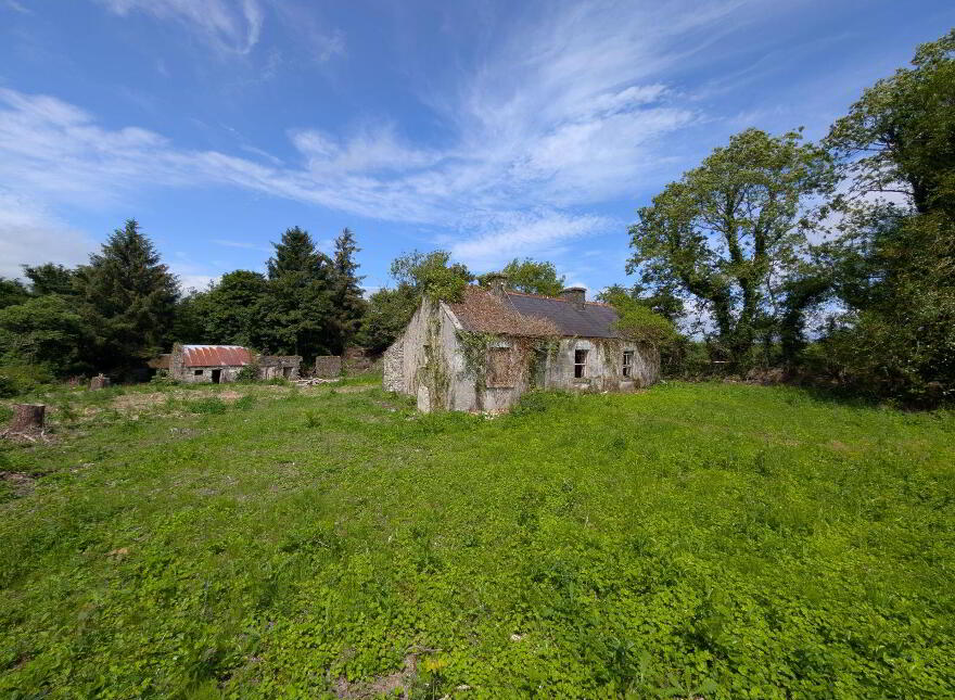 Derelict Cottage, Carroweena, Killasser