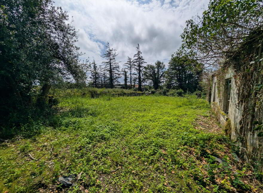 Derelict Cottage, Carroweena, Killasser