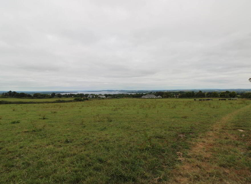 45.96 Acres, Shesharoe, Portroe, Nenagh