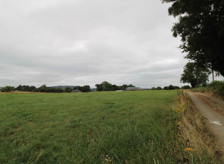 45.96 Acres, Shesharoe, Portroe, Nenagh
