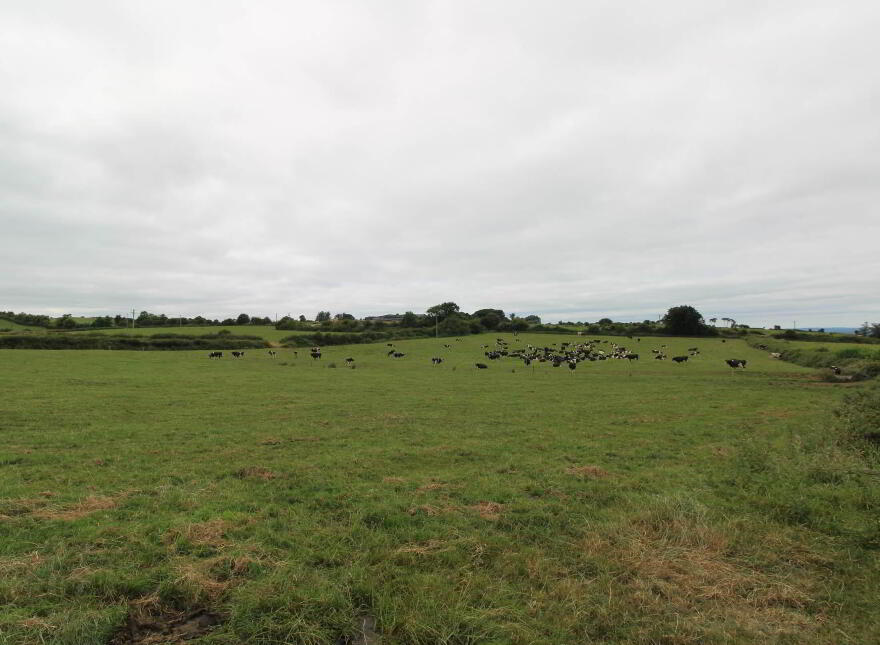 45.96 Acres, Shesharoe, Portroe, Nenagh
