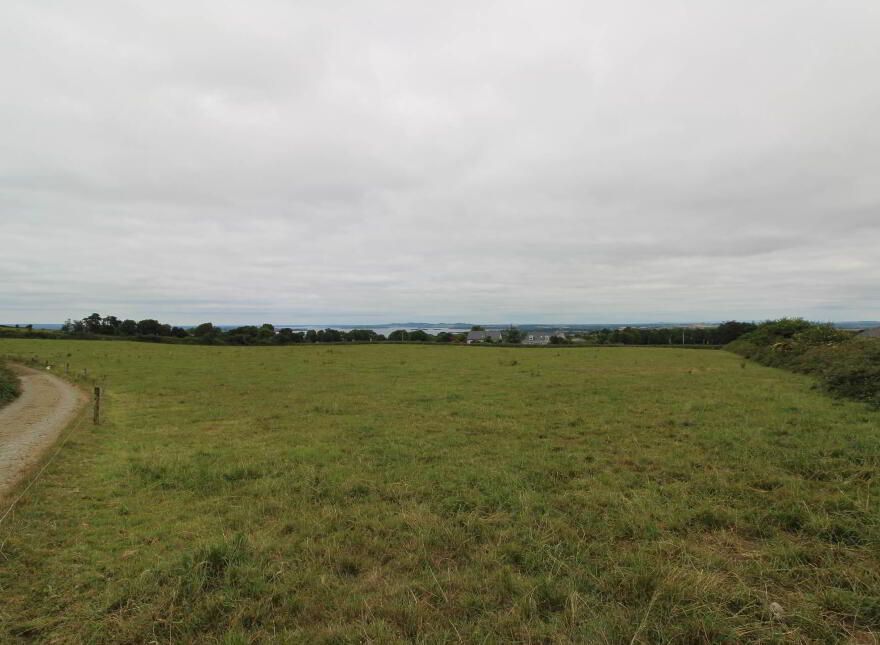 45.96 Acres, Shesharoe, Portroe, Nenagh