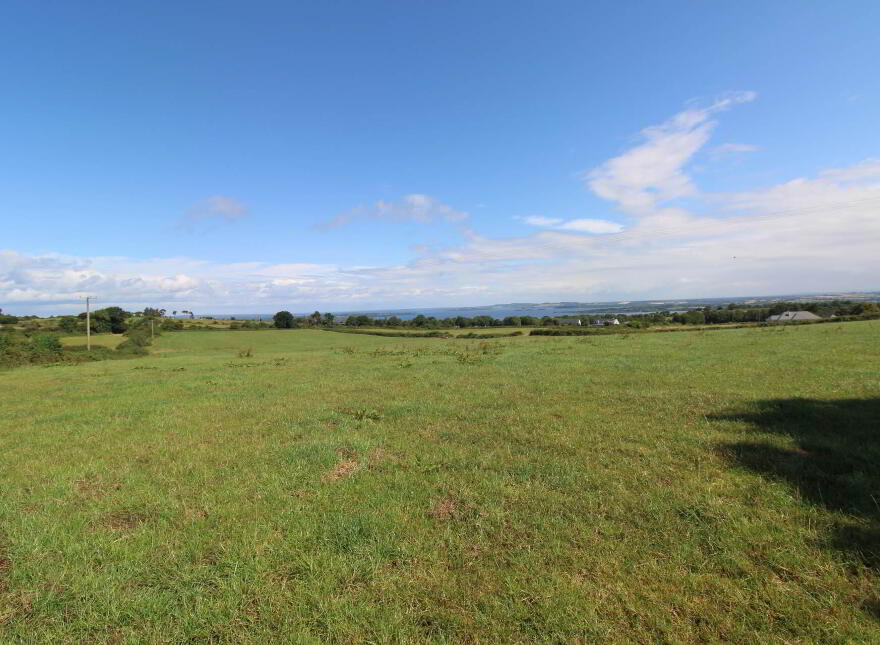 45.96 Acres, Shesharoe, Portroe, Nenagh