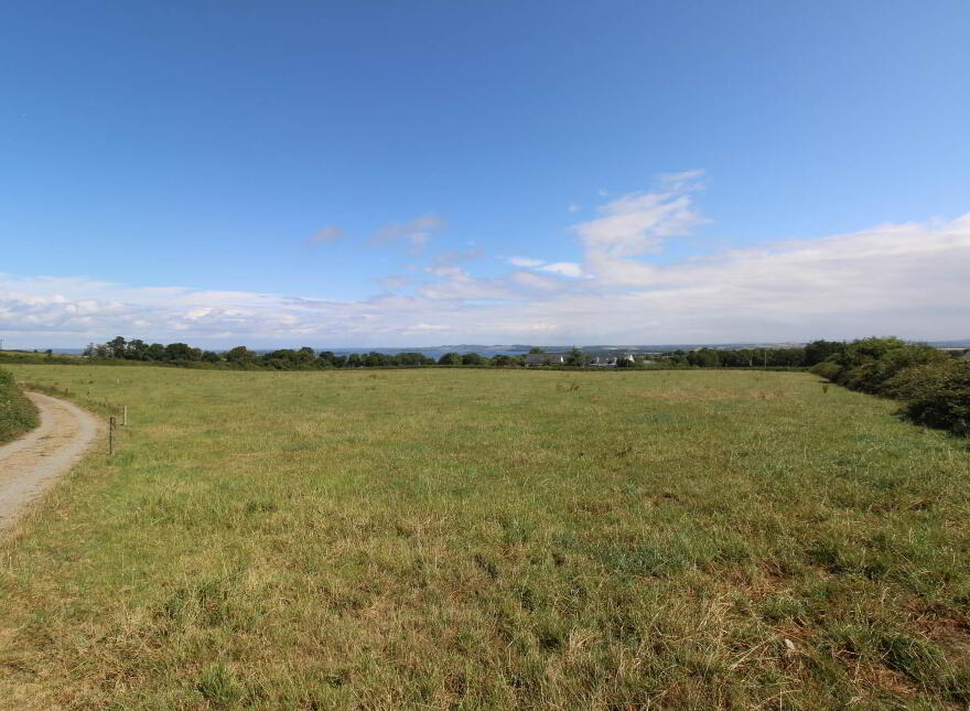 45.96 Acres, Shesharoe, Portroe, Nenagh