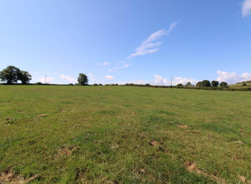 45.96 Acres, Shesharoe, Portroe, Nenagh