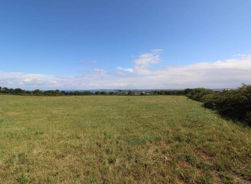 45.96 Acres, Shesharoe, Portroe, Nenagh