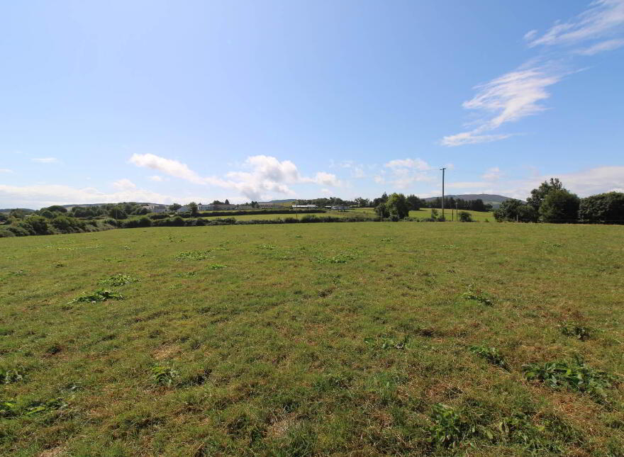45.96 Acres, Shesharoe, Portroe, Nenagh