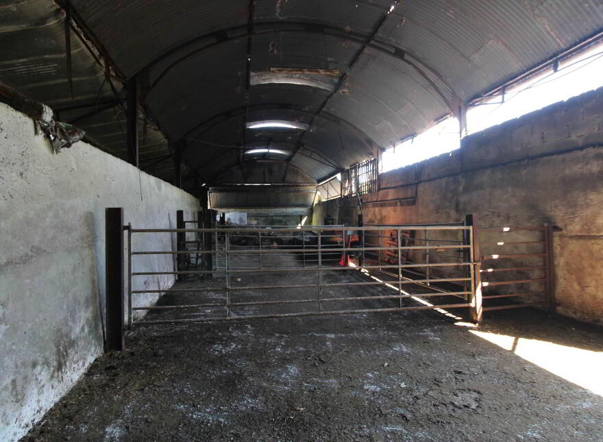 45.96 Acres, Shesharoe, Portroe, Nenagh
