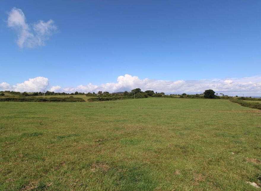 45.96 Acres, Shesharoe, Portroe, Nenagh