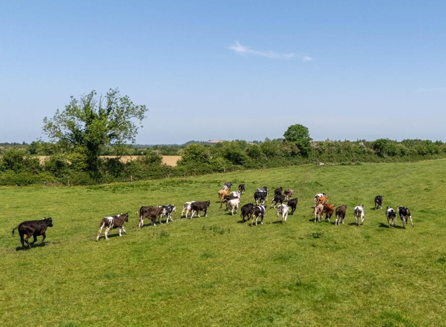 Rathdrum House, Ballycommon, Derrygrogan, R35AN29