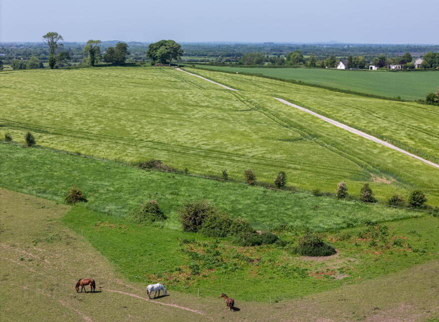 Rathdrum House, Ballycommon, Derrygrogan, R35AN29