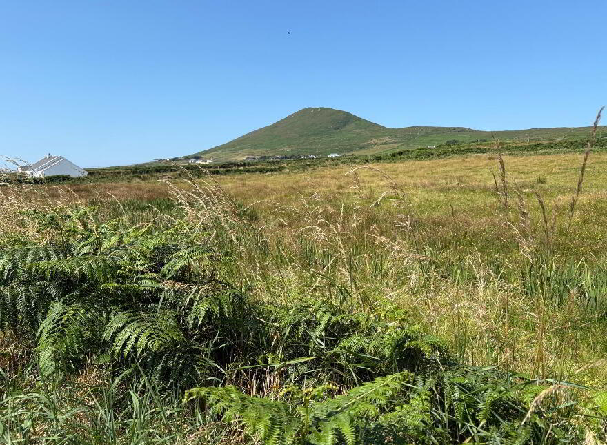 Laharn, Cahersiveen