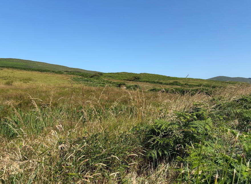 Laharn, Cahersiveen
