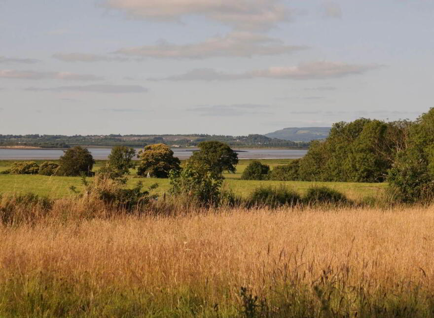 Shannongrove, Pallaskenry, V94FC9E