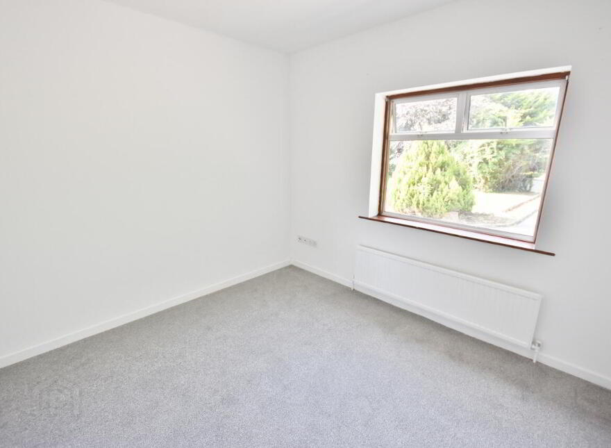 Ballydonoghue, Lisselton, V31WD62