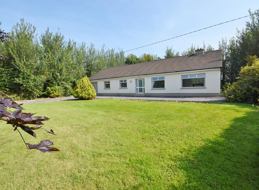 Ballydonoghue, Lisselton, V31WD62