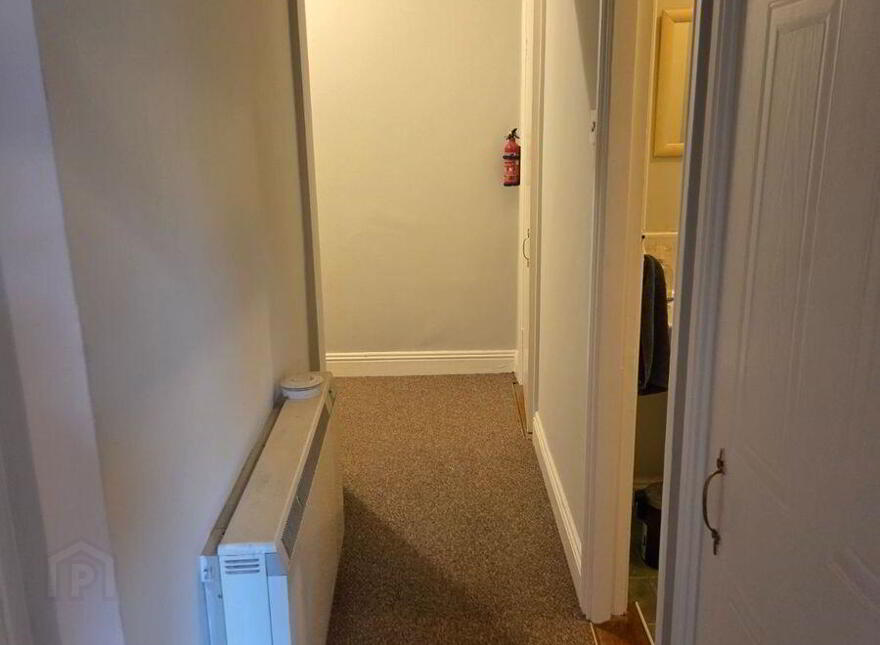 51 Mountjoy Square South, Dublin 1, D01C9Y5