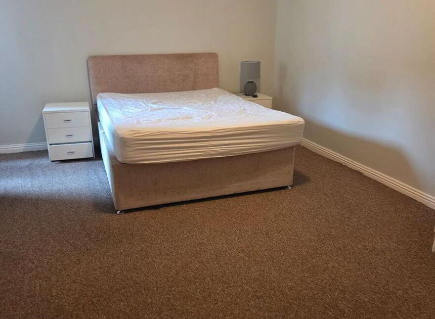 51 Mountjoy Square South, Dublin 1, D01C9Y5