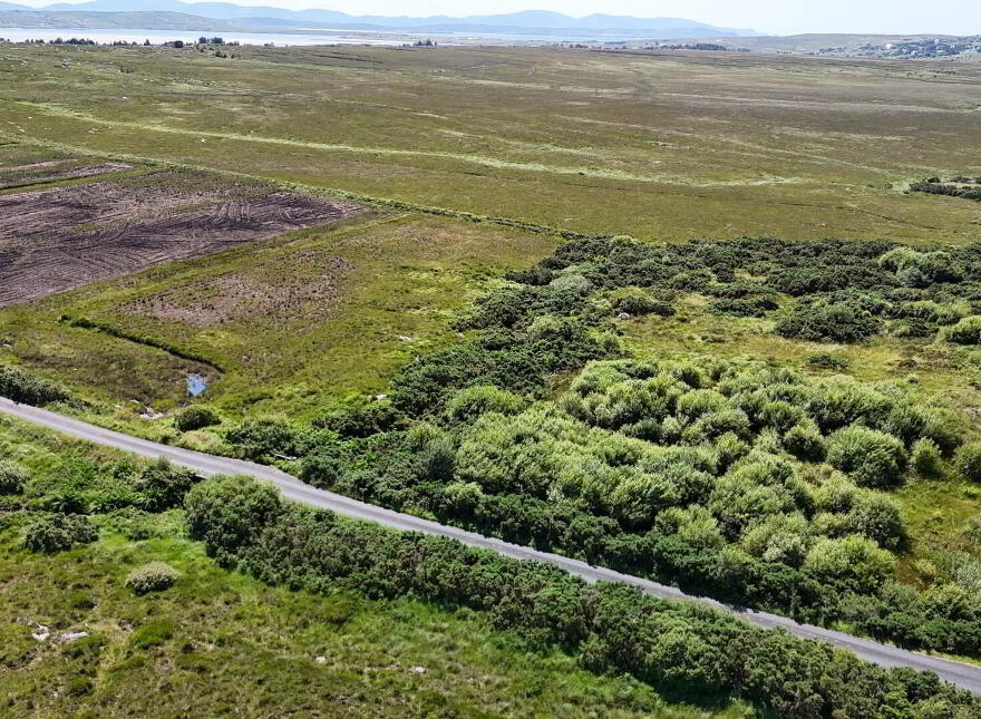 Diamond, Dungloe
