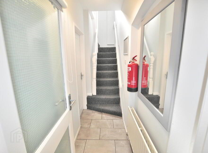 14 Egeria Street, Belfast, BT12 5PN