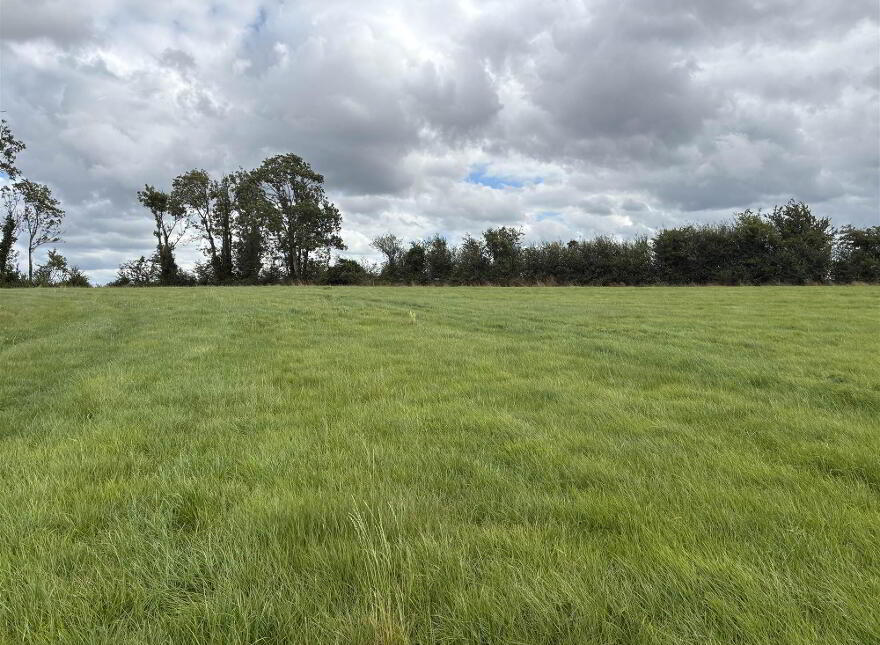 C. 2.8 Acres, Tannaghmore Road, Markethill, BT60