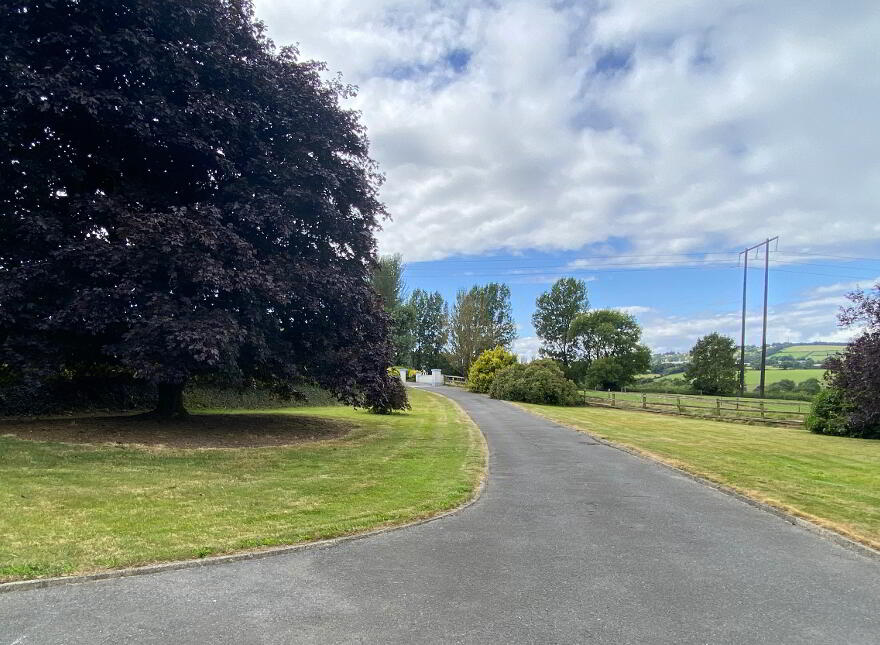 Ballintruer More, Baltinglass, W91Y135