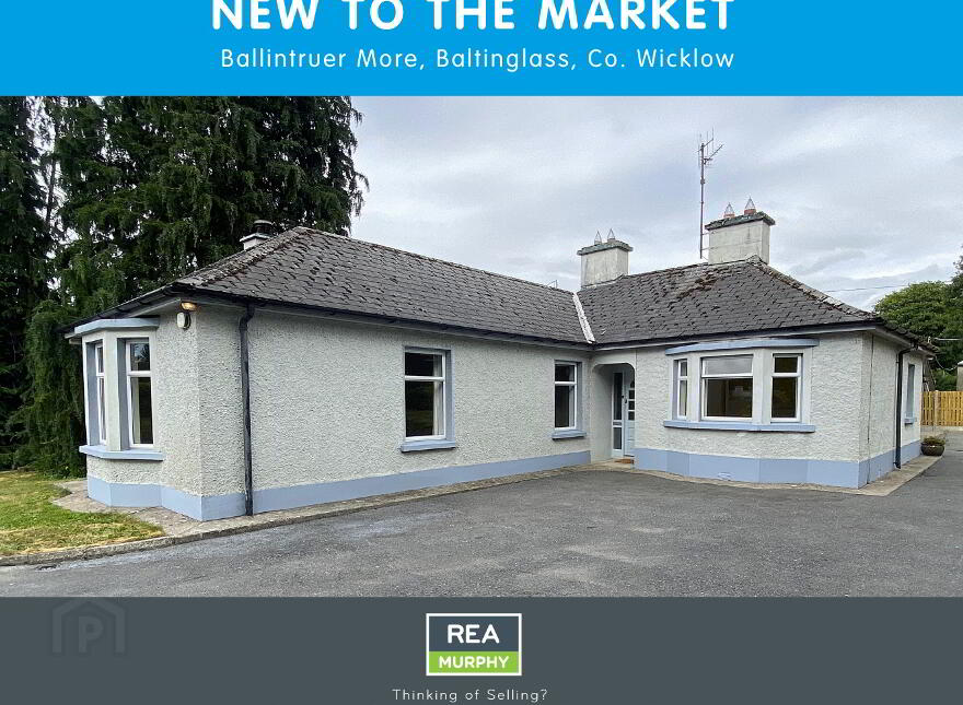 Ballintruer More, Baltinglass, W91Y135