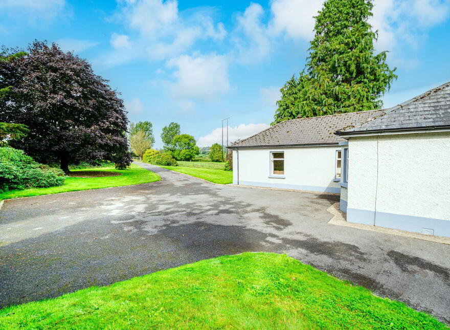 Ballintruer More, Baltinglass, W91Y135