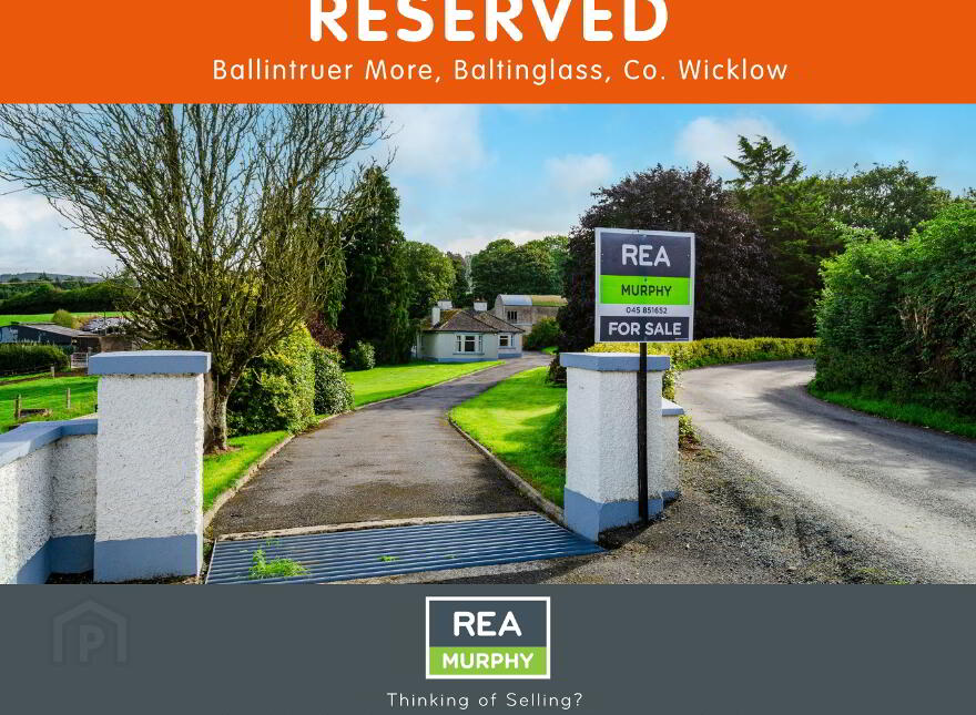 Ballintruer More, Baltinglass, W91Y135