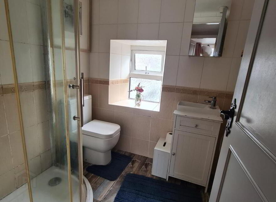 Main Street, Clogheen, E21VR60
