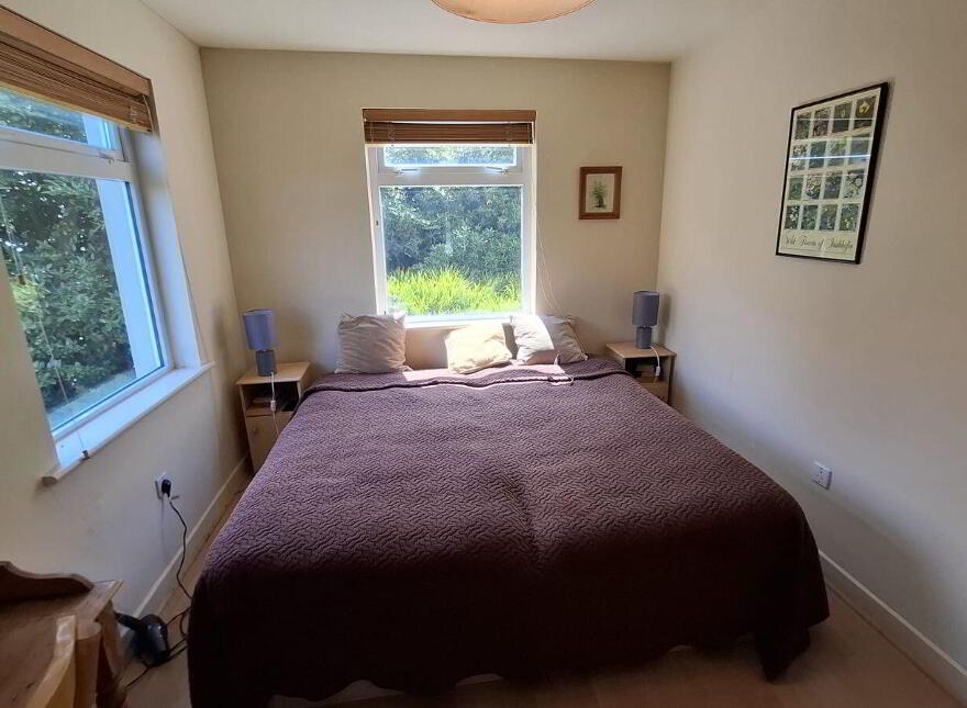 Ballinafad Lodge, Ballinafad, Recess, H91E78N