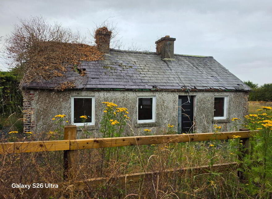 Carlow Road Ballylynan, Athy