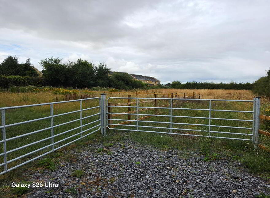 Carlow Road Ballylynan, Athy