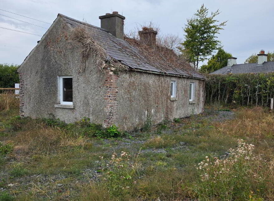 Carlow Road Ballylynan, Athy