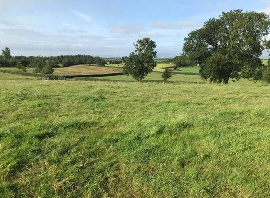 'Duneany', Bridge Road, Dunloy, Ballymena, BT44 9QD