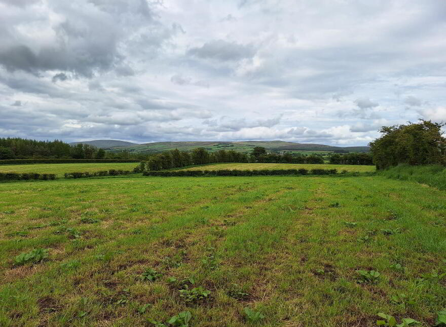 Attractive, West Of, 21 Friary Road, Armoy, Ballymoney, BT53 8XZ