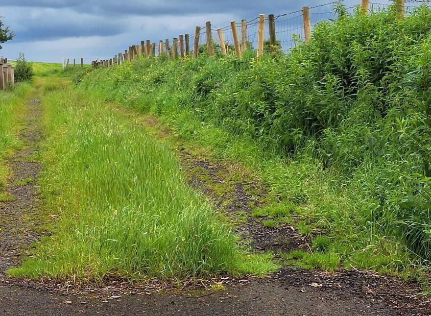 Attractive Site, West Of, 21 Friary Road, Armoy, Ballymoney, BT53 8XZ