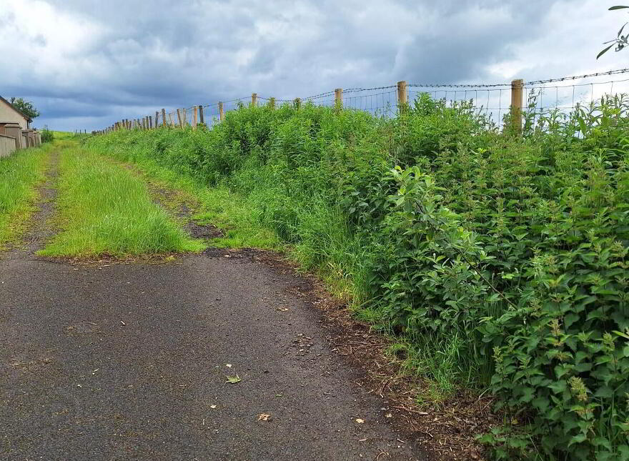 Attractive Site, West Of, 21 Friary Road, Armoy, Ballymoney, BT53 8XZ