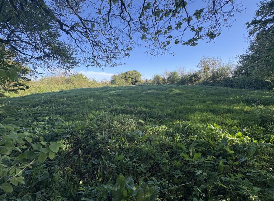 Lurganboy, Oldcastle, C15N525