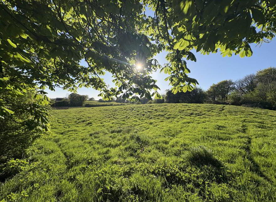 Lurganboy, Oldcastle, C15N525