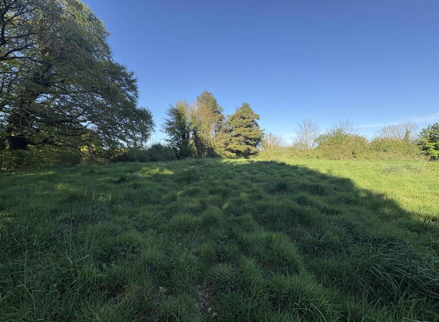 Lurganboy, Oldcastle, C15N525