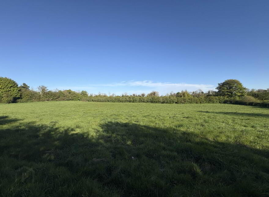 Lurganboy, Oldcastle, C15N525