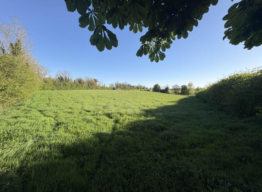 Lurganboy, Oldcastle, C15N525