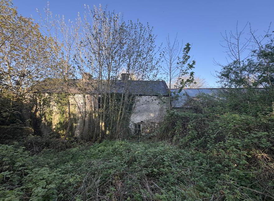 Lurganboy, Oldcastle, C15N525