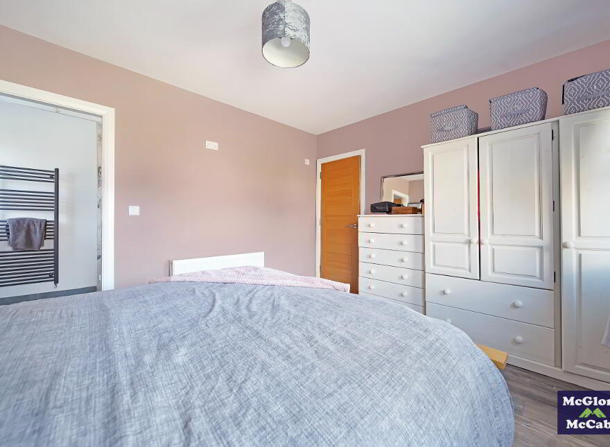 17 Cluaneo Meadows, Coalisland, Dungannon, BT71 5EN