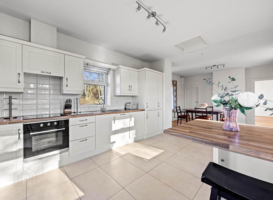 Saoirse, Clounkeen East, Rosscarbery, Leap, P81K443