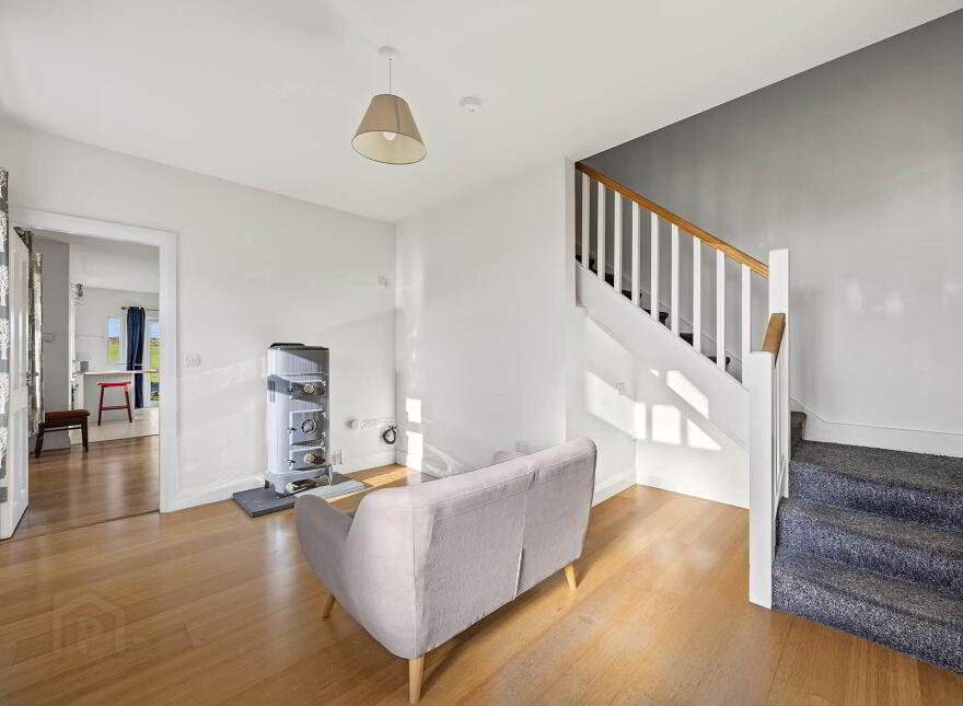 Saoirse, Clounkeen East, Rosscarbery, Leap, P81K443
